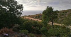 Land for Sale Fidar ( Halat ) Jbeil Area 783Sqm