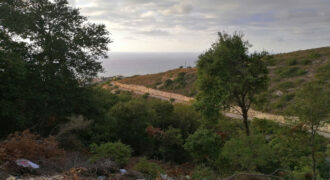 Land for Sale Fidar ( Halat ) Jbeil Area 783Sqm