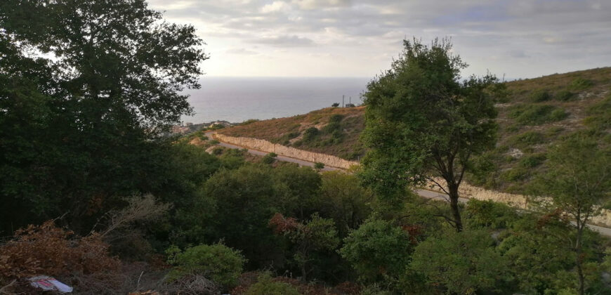 Land for Sale Fidar ( Halat ) Jbeil Area 783Sqm