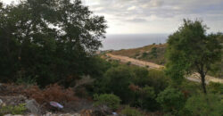 Land for Sale Fidar ( Halat ) Jbeil Area 783Sqm