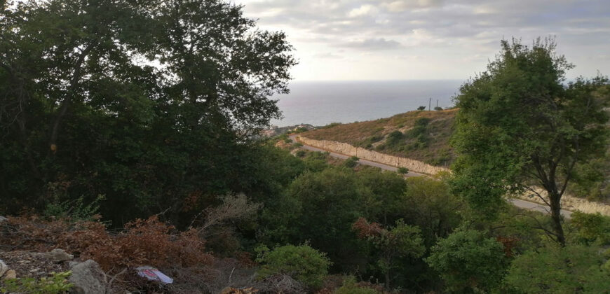 Land for Sale Fidar ( Halat ) Jbeil Area 783Sqm