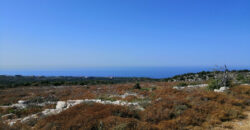 Land for Sale Gharzouz Jbeil Area 96050Sqm