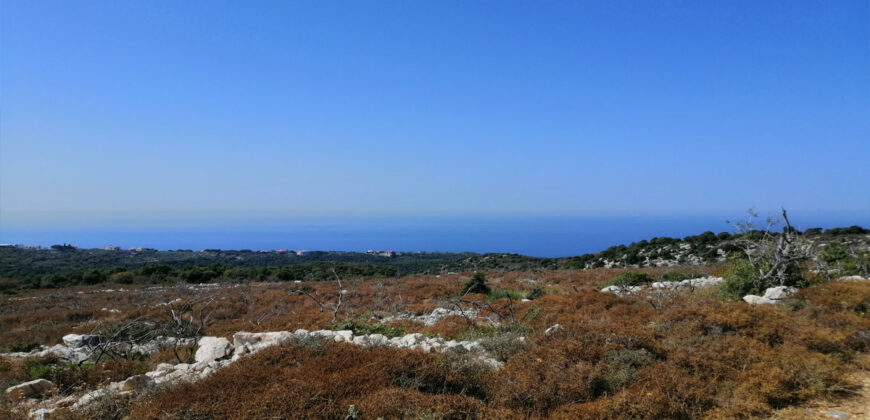 Land for Sale Gharzouz Jbeil Area 96050Sqm