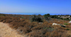 Land for Sale Gharzouz Jbeil Area 96050Sqm