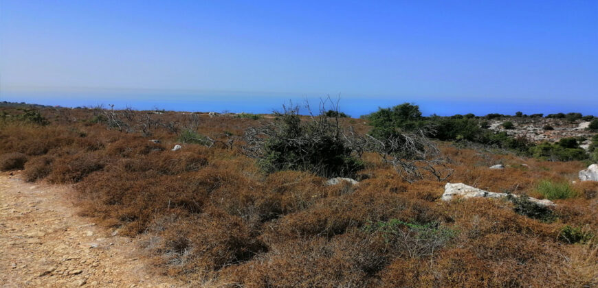 Land for Sale Gharzouz Jbeil Area 96050Sqm