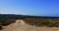 Land for Sale Gharzouz Jbeil Area 96050Sqm
