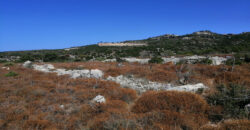 Land for Sale Gharzouz Jbeil Area 96050Sqm