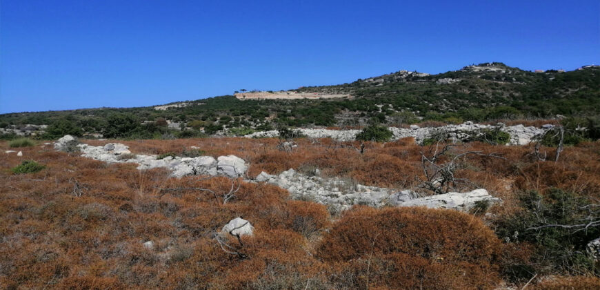Land for Sale Gharzouz Jbeil Area 96050Sqm