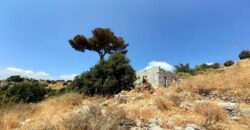Land for Sale Bekaatet Kanaan Kesserwan Area 3076Sqm