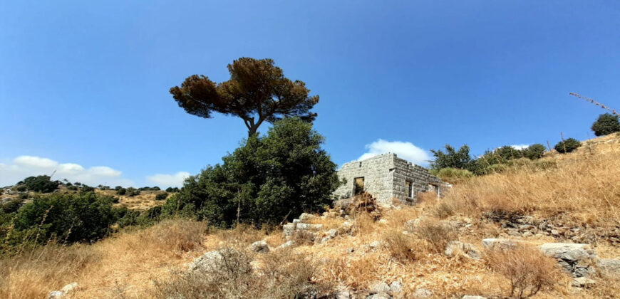 Land for Sale Bekaatet Kanaan Kesserwan Area 3076Sqm