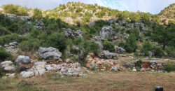 Land for Sale Tartij Jbeil Area 22730Sqm