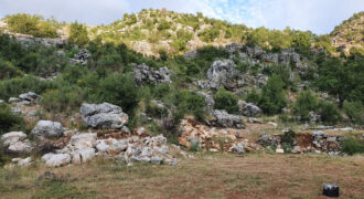Land for Sale Tartij Jbeil Area 22730Sqm