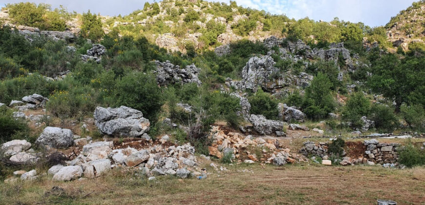 Land for Sale Tartij Jbeil Area 22730Sqm