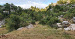 Land for Sale Tartij Jbeil Area 22730Sqm