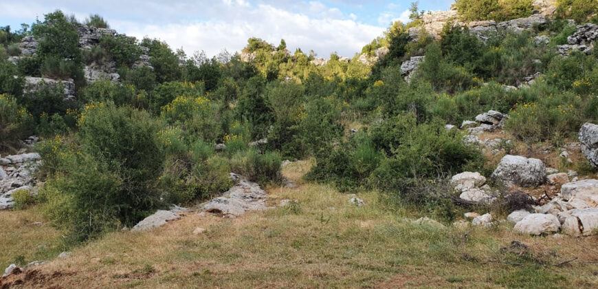 Land for Sale Tartij Jbeil Area 22730Sqm