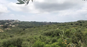 Land for Sale Monsef Jbeil Area 1363Sqm