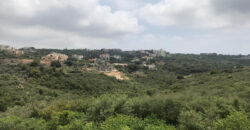 Land for Sale Monsef Jbeil Area 1363Sqm