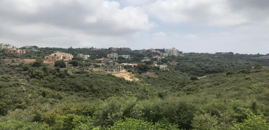 Land for Sale Monsef Jbeil Area 1363Sqm