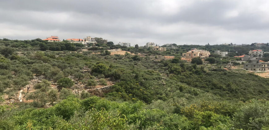 Land for Sale Monsef Jbeil Area 1363Sqm