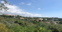 Land for Sale Monsef Jbeil Area 1363Sqm