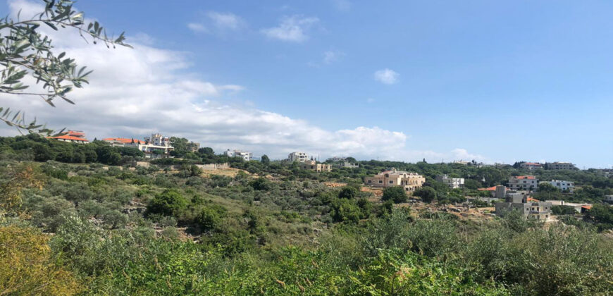 Land for Sale Monsef Jbeil Area 1363Sqm