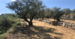 Land for Sale Monsef Jbeil Area 1363Sqm