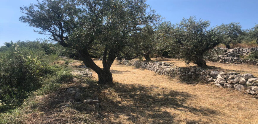 Land for Sale Monsef Jbeil Area 1363Sqm