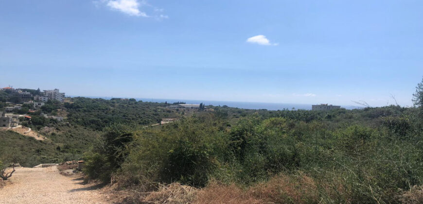 Land for Sale Monsef Jbeil Area 1363Sqm