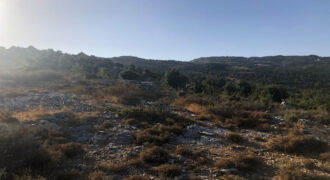 Land for Sale Mechmech Jbeil Area 1850Sqm