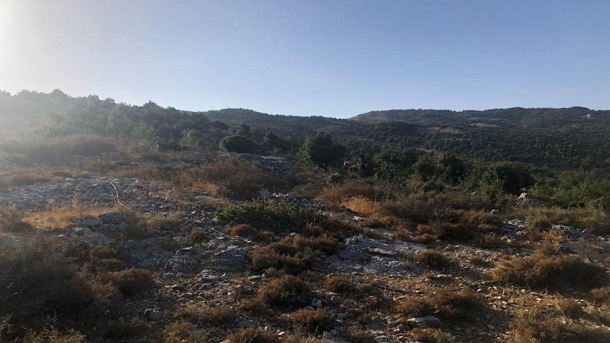 Land for Sale Mechmech Jbeil Area 1850Sqm