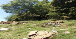 Land for Sale Jaj Jbeil Area 900Sqm