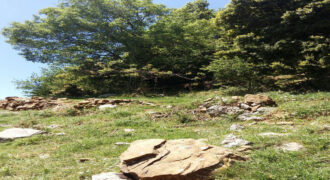 Land for Sale Jaj Jbeil Area 900Sqm