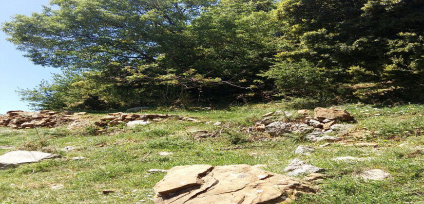 Land for Sale Jaj Jbeil Area 900Sqm