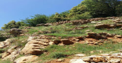 Land for Sale Jaj Jbeil Area 900Sqm