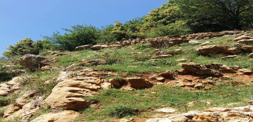 Land for Sale Jaj Jbeil Area 900Sqm