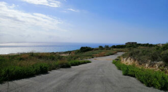 Land for Sale Berbara Jbeil Area 936Sqm