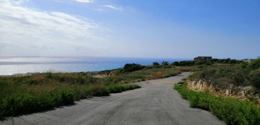 Land for Sale Berbara Jbeil Area 936Sqm