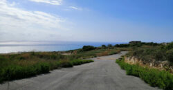 Land for Sale Berbara Jbeil Area 981Sqm