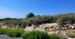 Land for Sale Berbara Jbeil Area 981Sqm