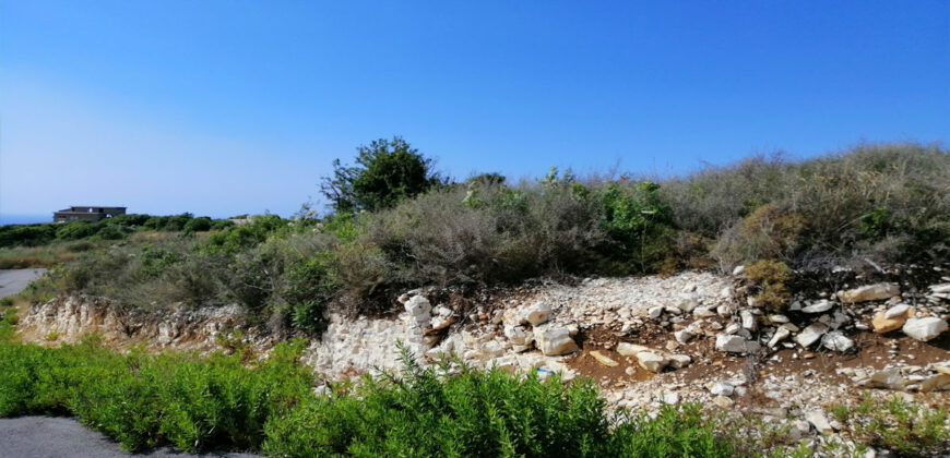 Land for Sale Berbara Jbeil Area 981Sqm