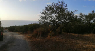 Land for Sale Monsef Jbeil Area 652Sqm