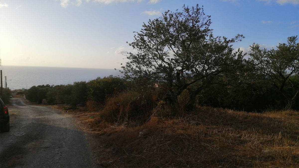 Land for Sale Monsef Jbeil Area 652Sqm