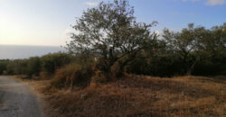 Land for Sale Monsef Jbeil Area 652Sqm