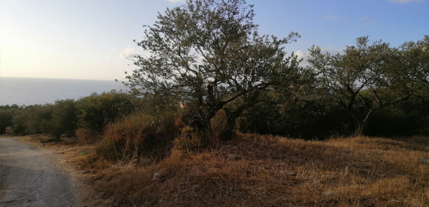 Land for Sale Monsef Jbeil Area 652Sqm