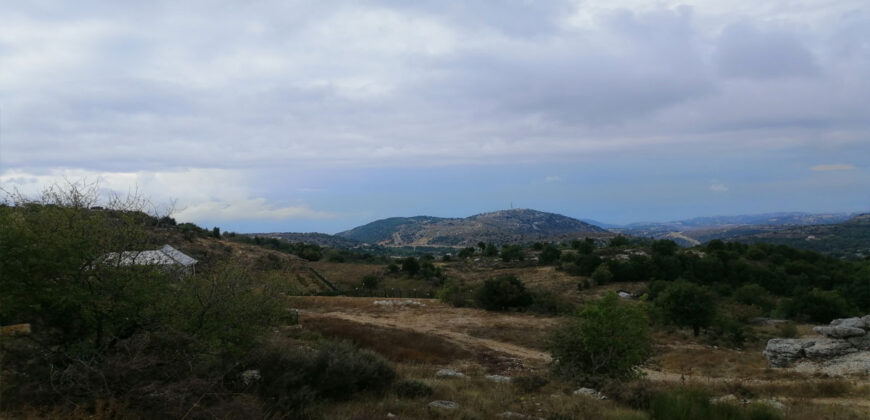 Land for Sale Lehfed Jbeil Area 1200Sqm