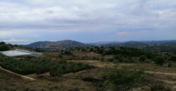 Land for Sale Lehfed Jbeil Area 1200Sqm