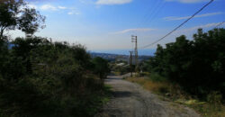 Land for Sale Kfar Mashoun Jbeil Area 1190Sqm