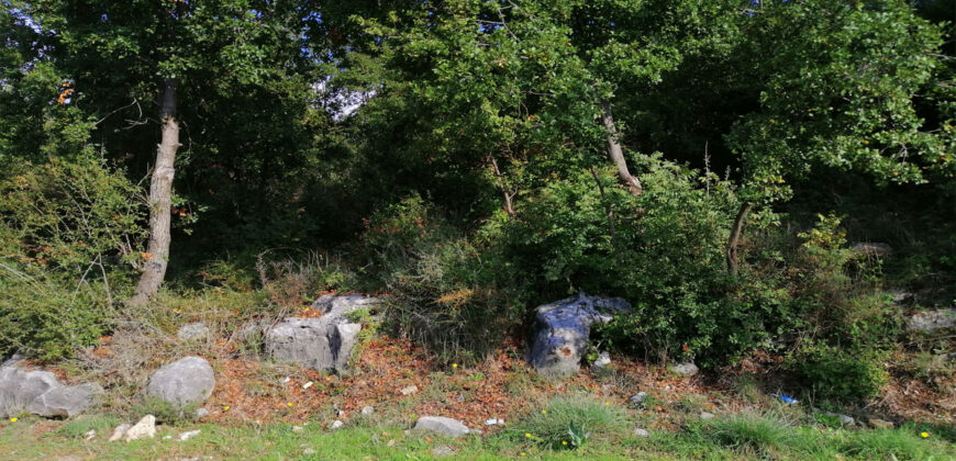 Land for Sale Kfar Mashoun Jbeil Area 1000Sqm
