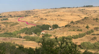 Land for Sale Aaqoura ( Laqlouq ) Jbeil Area 910Sqm