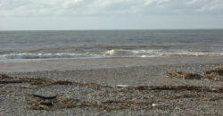 Land for Sale Bqaq Ed Dine Kesserwan Area 2390Sqm